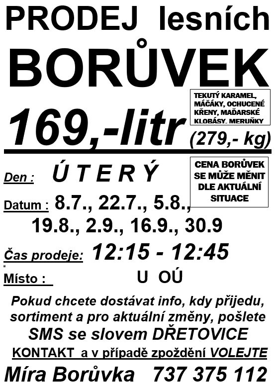 Prodej lesních borůvek